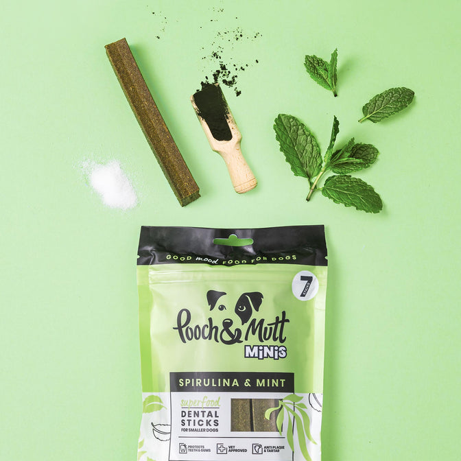 Superfood Dental Sticks für Hunde