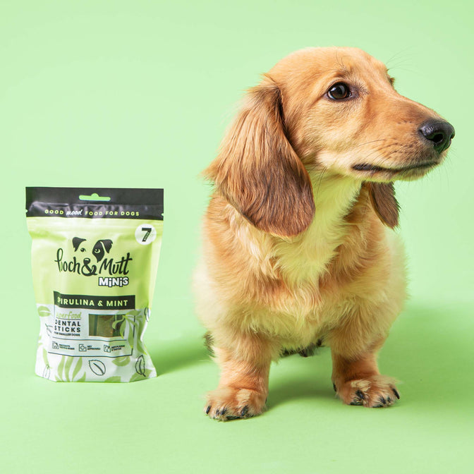 Superfood Dental Sticks für Hunde