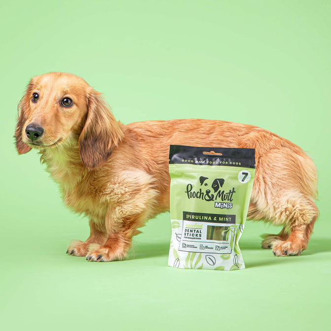 Superfood Dental Sticks für Hunde