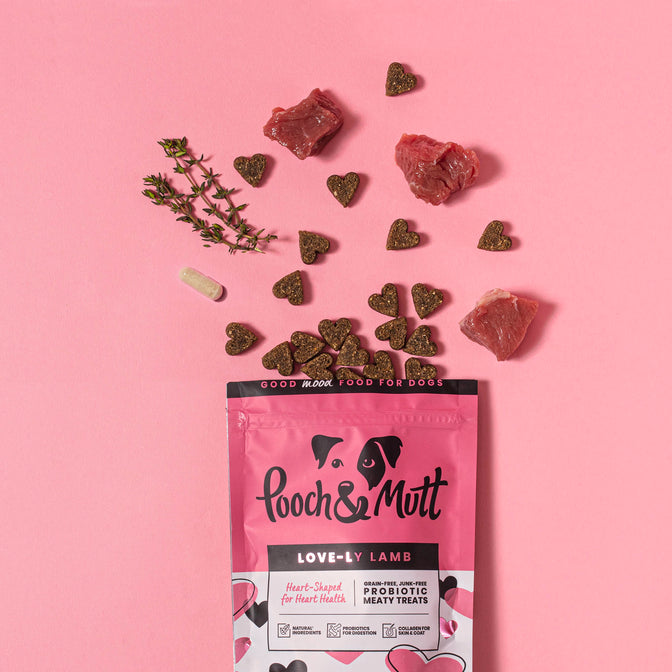 Love-ly Lamb Probiotic Fleisch-Leckerlis